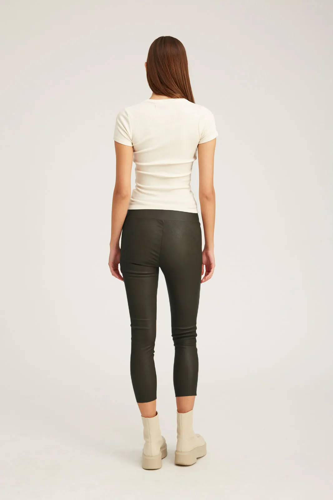 Cactus Leather Crop