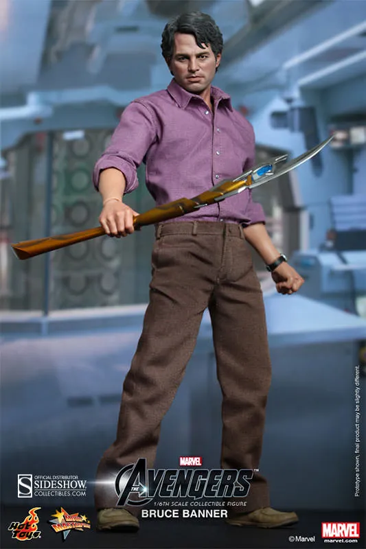Hot Toys 1/6 Bruce Banner Sixth Scale Figure MMS229