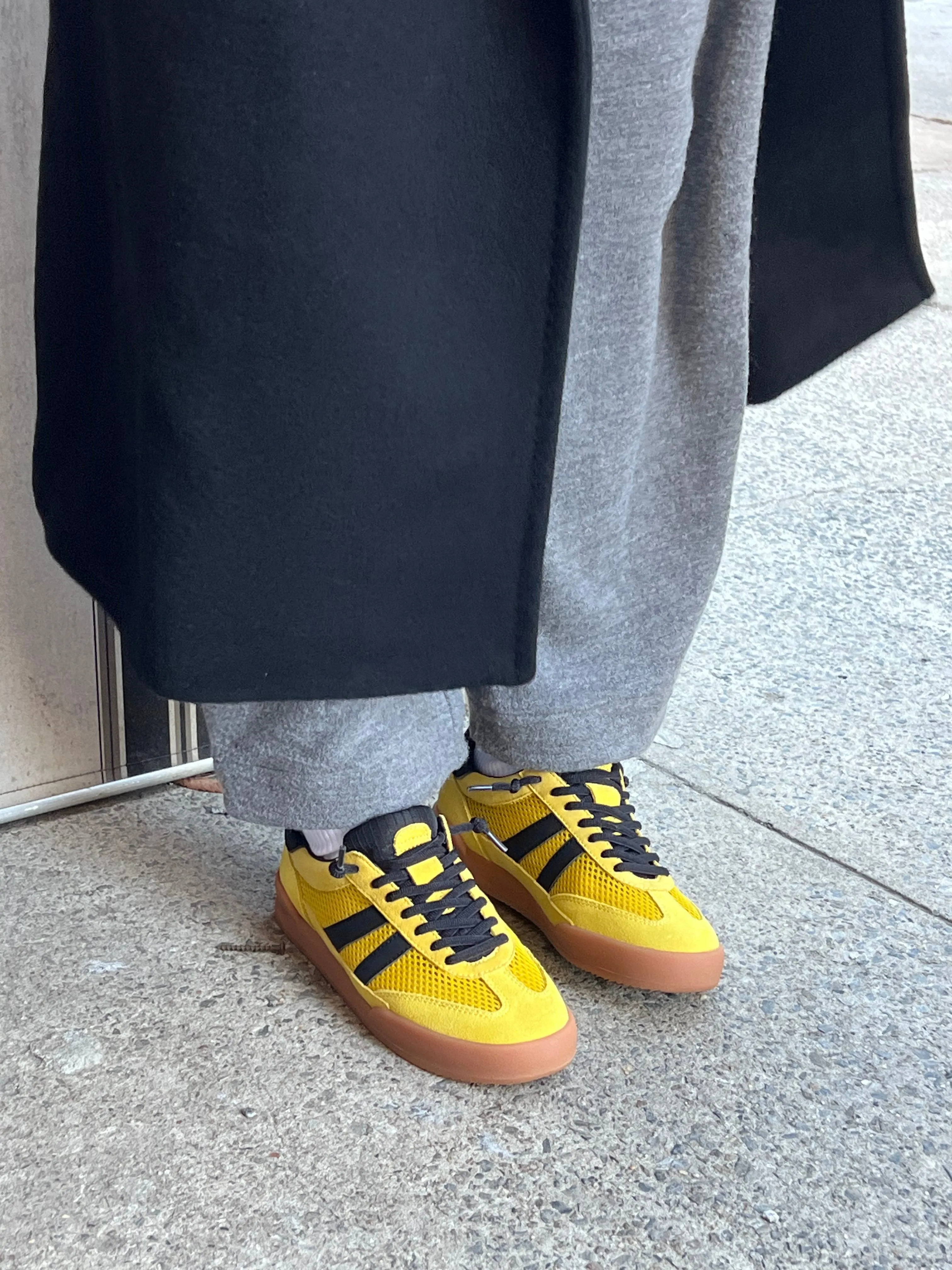 VERDICT YELLOW MULTI
